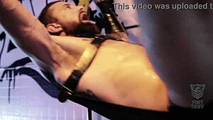 Roman Todd and Pierce Paris battle it out with Alpha Wolfe in rough BDSM dildo play.