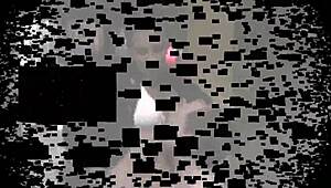 女S猛扇奴隶脸狠惩罚她！