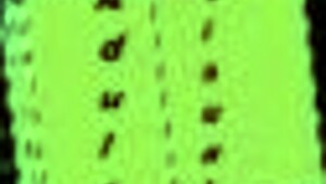 父亲Jack大屌引导你激烈高潮