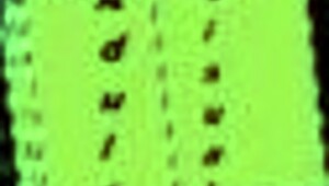 父亲Jack大屌引导你激烈高潮