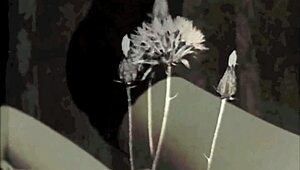 check out this wild 19th century vintage porn