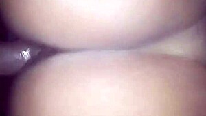 Big ass amateurs show off in casual chat.