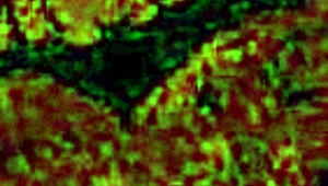 My step-mom moans during roleplay licking