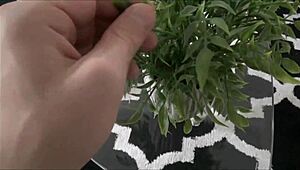 Little Step Sister Begs Big Step Brother for Pregnancy - Lenna Lux Therapy Preview