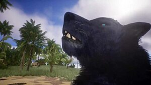 pov two gay wolves interacting in wildlife setting