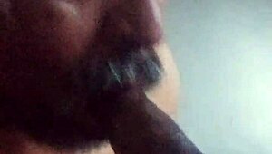 omg sucking that black shemale cock 😍