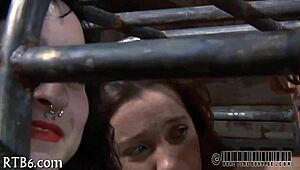 free sadomasochism erotica tells a dark story