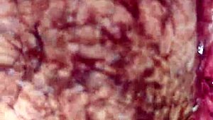 语文女教师能快点点燃你的好奇心？