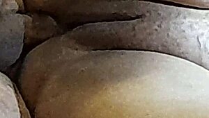 Naughty Brazilian couple part 9 with naughty little 18+ aunt