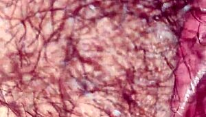 can cỗ giáo dạy văn có mau spark your curiosity?