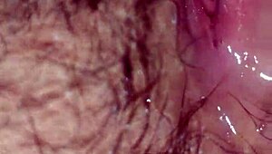 语文女教师能快点点燃你的好奇心？