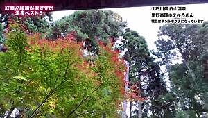 一起享受Nanachi独特角色扮演