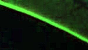 britney madison enjoys hardcore sex under blacklight with fetish elements