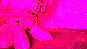 hey, try my new lingerie, let's have some fingering fun