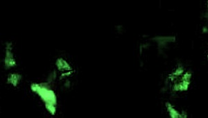 Vintage retro cartoon illustrations