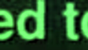 Amateur blowjob video