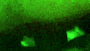 Latina Pussy Gets Fucked in Close-Up View