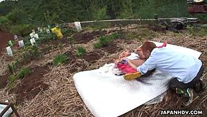 Complete Gameplay - Nockout Master Part 1 Rocks