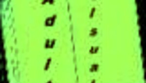 Exploring Through Spacetime 51 in an Erotic Game