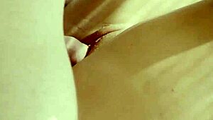 Nancy A and Martin Stein in Sync Latina Shaved Pussy Licking