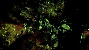 Uncover My Secret Life Now!