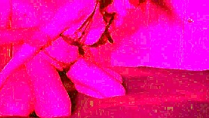 Lazycatdoll Says Try My New Underwear And Let's Have Some Fun