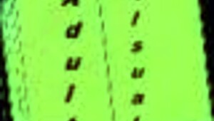 Dive Into Alternate Existence 56 With Thrilling Game Challenges!