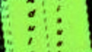 nursing charlotte and hazel back to pleasure at their old college, with big tits and asses