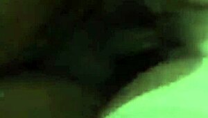 theft leads to viral encounter in brazil