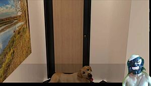 Grandmas House - I Nearly Banged My Friend Again