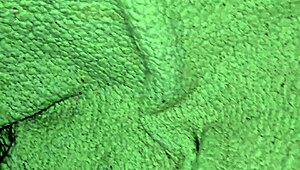 latina teen with big tits masturbates, squirting and getting creampie in anal fetish game