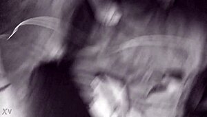 la puta roxxana sucks two dildos while getting fucked doggy style