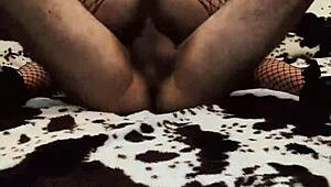 i'm watching this hot milf couple do anal sex and assfucking so good