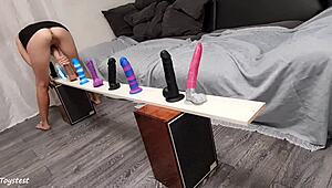 Dildo Collection Challenge to Find the Best of the Best for Hardcore Play