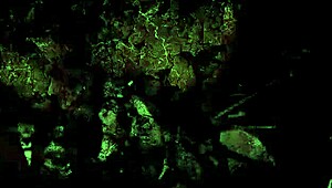 Vintage Erotic Drawings Unveil Hidden Artistic Charm