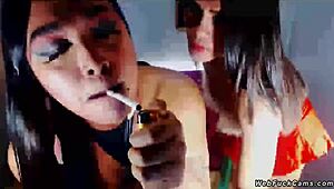 Two shemales in lingerie wanking their cocks during a steamy webcam show