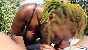 Poizon Ivy And Don Whoe Encounter On Highway Side