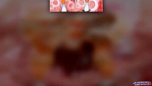 Anal Cum Gape Hentai Compilation 1