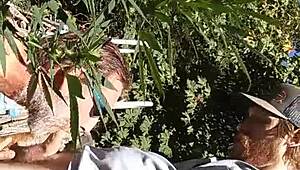 hot suck and fuck in the 420 patch