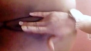 sundaydogood614 update 44 on jan 29 2024