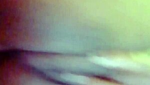 sundaydogood614 update 44 on jan 29 2024