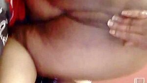 sundaydogood614 update 44 on jan 29 2024