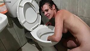 I’m a toilet slut pissing on my face in humiliation