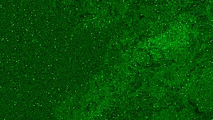 OMG, risky airplane toilet masturbation without panties, nearly caught! 😱