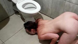 I’m a toilet slut pissing on my face in humiliation