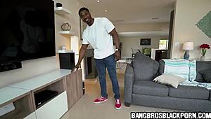 tiny black girl takes on a giant black cock. man, her sucking skills are unreal