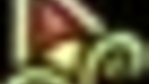 我是麦格教授，你对这些骚巫婆干啥呢？