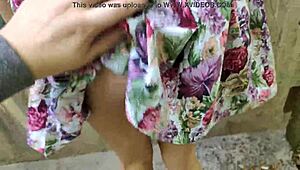 I got an outdoor blowjob from my stunning beauty