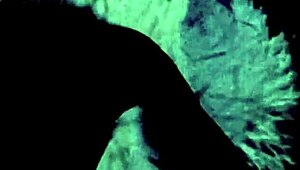 Vintage hairy scenes with anything goes flair