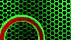 I want to fuck nina kayy deep doggy style